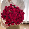 Red Rose (Cream White Blanket)
