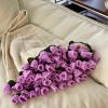 Purple lily of the valley (beige blanket)